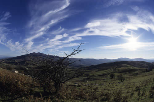 L'Amiata vista dal Parco Faunistico